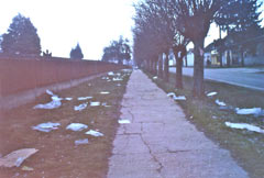 vasar.jpg