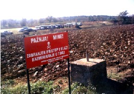 mine2.jpg