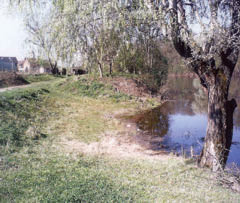 batrovci.jpg