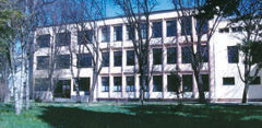 skola.jpg