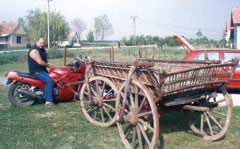 taljige.jpg