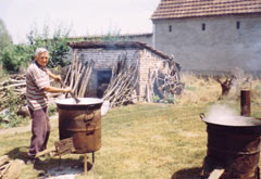 cvarci.jpg