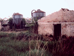 farma.jpg