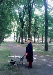 park.jpg