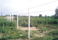 ograda.jpg