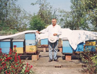 pcele1.jpg