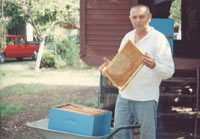 pcele2.jpg