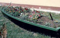 camac.jpg