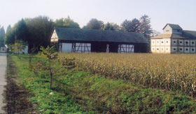 borac.jpg