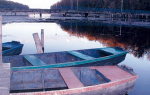 Детаљ са Босута st8-9_camci.jpg