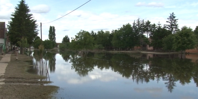 Село Јамена, општина Шид