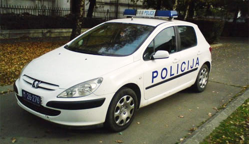 Полиција, Шид